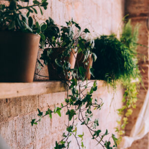 Artificial Plant Monstera in Pot – 60 cm